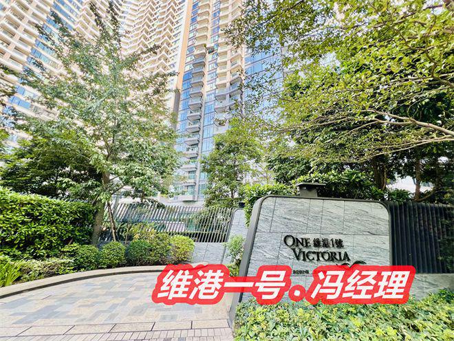 什么这么贵维港一号风水寓意与象征J9九游会2025香港维港一号为