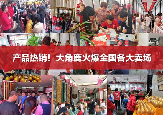 品牌十大瓷砖品牌大角鹿加盟优势解读j9九游会入口首页瓷砖加盟选什么(图2)